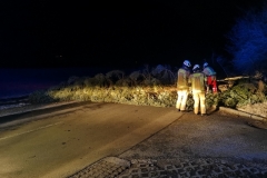 IMG_20190311_002827_resized_20190311_125500168