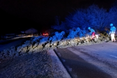 IMG_20190311_002842_resized_20190311_125459920