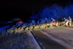 IMG_20190311_002848_resized_20190311_125500282