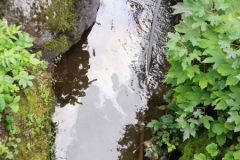 7579425b-d613-4ca9-a526-0bc3e7214d53