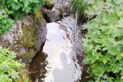 c7abc2a7-c2b2-4e49-9583-52995cfe7bcd