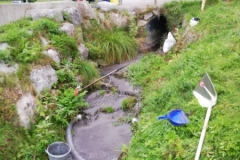 cfae7d8d-da9a-43ba-812b-3bc0e7b3432b