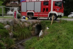 e95327ef-25e3-49ca-b6e1-b750f7bd9226